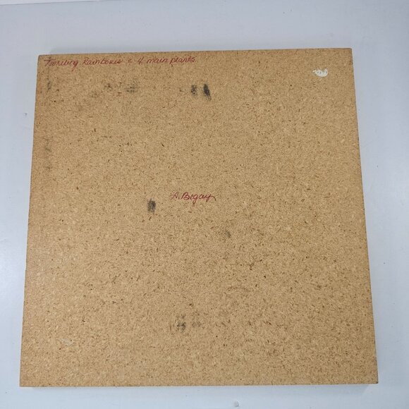 Native American Sand Art Board By A. Begay Twirlings Rainbows & Four Main Plants - Picture 8 of 8